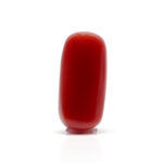 Red Coral 6.95 Carat (Moonga 7.65 Ratti) - Image 3