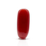 Red Coral 7.06 Carat (Moonga 7.77 Ratti)