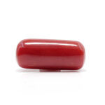 Red Coral 7.26 Carat (Moonga 7.99 Ratti) - Image 3