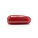 Red Coral 7.44 Carat (Moonga 8.18 Ratti) - Image 4