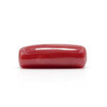 Red Coral 7.76 Carat (Moonga 8.54 Ratti) - Image 4