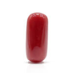 Red Coral 7.72 Carat (Moonga 8.49 Ratti)