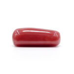 Red Coral 7.72 Carat (Moonga 8.49 Ratti) - Image 4