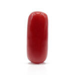 Red Coral 7.45 Carat (Moonga 8.20 Ratti)