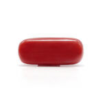 Red Coral 7.45 Carat (Moonga 8.20 Ratti) - Image 3
