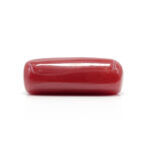 Red Coral 8.03 Carat (Moonga 8.83 Ratti) - Image 4