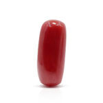 Red Coral 8.26 Carat (Moonga 9.09 Ratti)