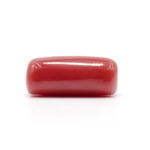 Red Coral 8.43 Carat (Moonga 9.27 Ratti) - Image 4