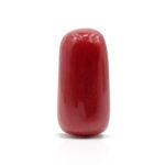 Red Coral 8.15 Carat (Moonga 8.97 Ratti)