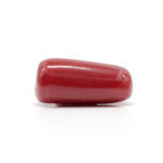 Red Coral 8.15 Carat (Moonga 8.97 Ratti) - Image 4