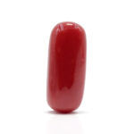 Red Coral 7.65 Carat (Moonga 8.42 Ratti)