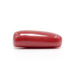 Red Coral 7.65 Carat (Moonga 8.42 Ratti) - Image 4