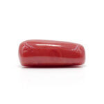 Red Coral 8.29 Carat (Moonga 9.12 Ratti) - Image 4