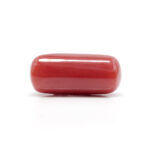Red Coral 7.99 Carat (Moonga 8.79 Ratti) - Image 3