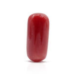 Red Coral 8.28 Carat (Moonga 9.11 Ratti)