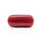 Red Coral 8.28 Carat (Moonga 9.11 Ratti) - Image 3