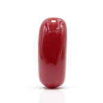 Red Coral 9.92 Carat (Moonga 10.91 Ratti)