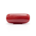 Red Coral 9.92 Carat (Moonga 10.91 Ratti) - Image 3