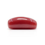 Red Coral 9.92 Carat (Moonga 10.91 Ratti) - Image 4