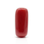 Red Coral 10.32 Carat (Moonga 11.35 Ratti)