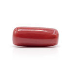 Red Coral 10.32 Carat (Moonga 11.35 Ratti) - Image 4
