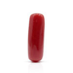 Red Coral 9.19 Carat (Moonga 10.11 Ratti)