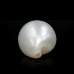 Natural Keshi Pearl (Moti) 9.84 Carat (10.82 Ratti) - Image 5