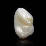 Natural Keshi Pearl (Moti) 8.04 Carat (8.84 Ratti) - Image 2