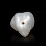 Natural Keshi Pearl (Moti) 12.44 Carat (13.68 Ratti) - Image 5