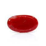 Japanese Coral 16.40 Carat (Desi Moonga 18.04 Ratti) - Image 3