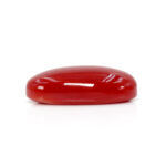 Japanese Coral 16.40 Carat (Desi Moonga 18.04 Ratti) - Image 4