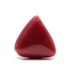 Red Coral 11.22 Carat (Moonga 12.34 Ratti)