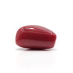 Red Coral 11.22 Carat (Moonga 12.34 Ratti) - Image 4