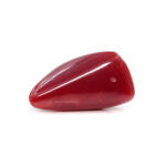 Red Coral 7.46 Carat (Moonga 8.21 Ratti) - Image 4