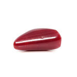 Red Coral 6.29 Carat (Moonga 6.92 Ratti) - Image 3