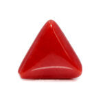 Red Coral 8.72 Carat (Moonga 9.59 Ratti) - Image 3