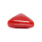Red Coral 8.72 Carat (Moonga 9.59 Ratti) - Image 4