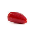 Red Coral 7.66 Carat (Moonga 8.43 Ratti) - Image 4