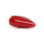 Red Coral 6.87 Carat (Moonga 7.56 Ratti) - Image 4