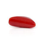 Red Coral 6.03 Carat (Moonga 6.63 Ratti) - Image 4