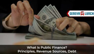 What is Public Finance? it's Principles, Key Concepts in Public Finance