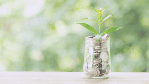 Sustainable Fintech — a few cases to take as an example
