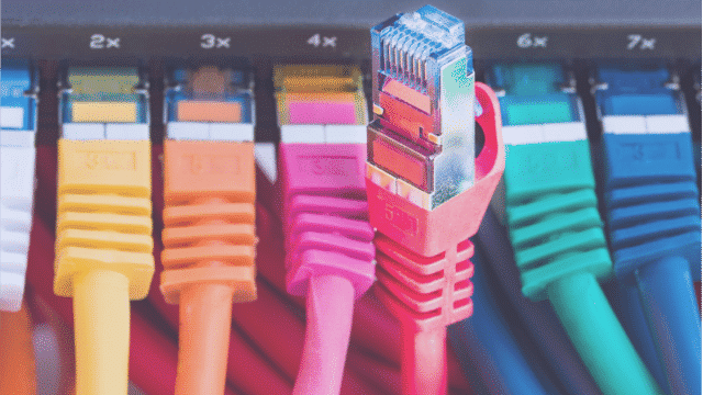 IT department structure: everything you need to know [2025 Guide]