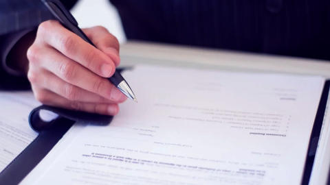 What is a DPA role in software development outsourcing?