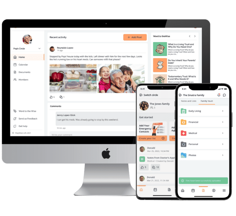 Waywiser: A supporting system for adults 1 waywiser