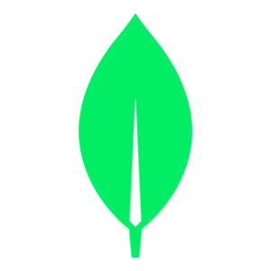 Software product development services 81 MongoDB