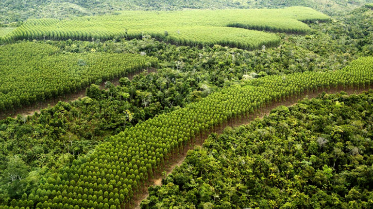 Conectividade Ecológica
