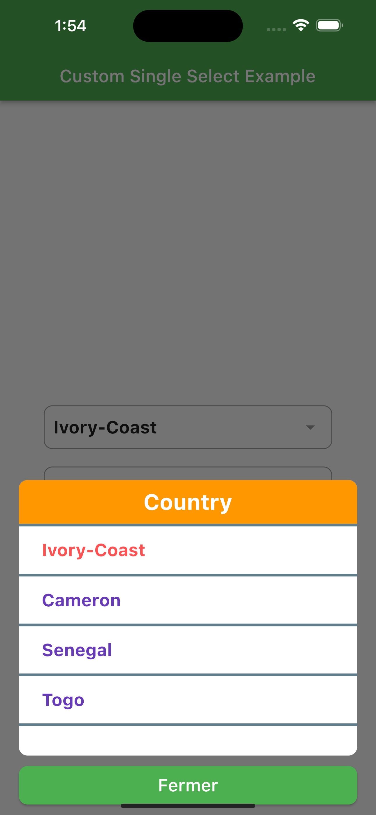 Custom Single Select