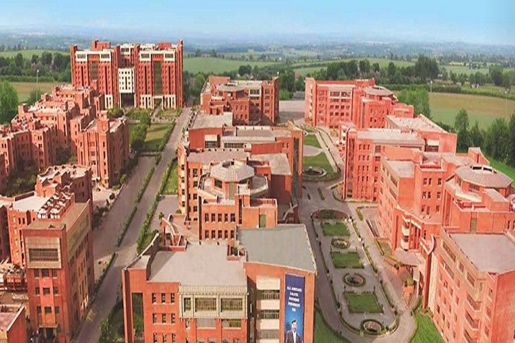Amity School of Fine Arts Noida – slide 1