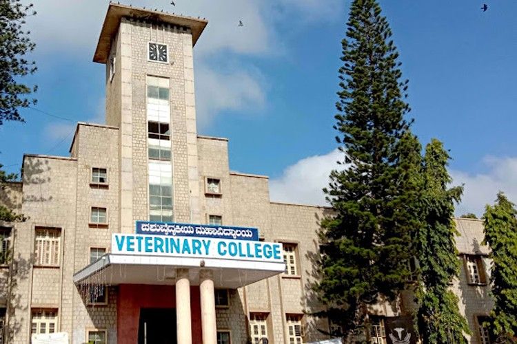 Veterinary College Bangalore – slide 1
